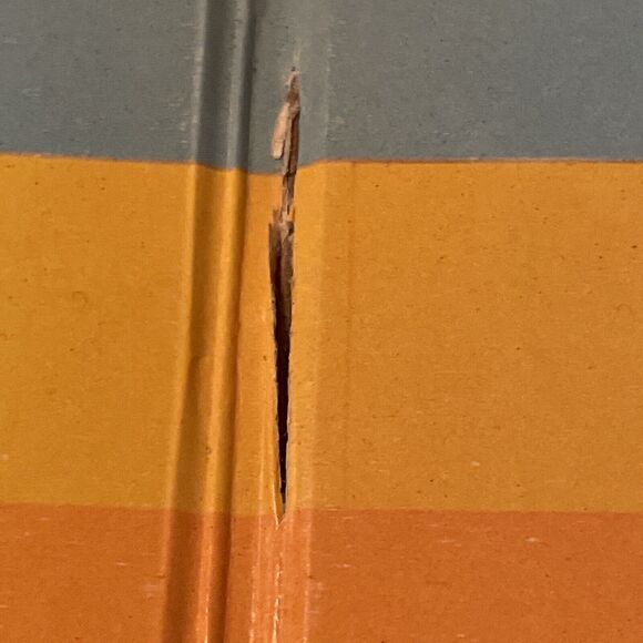 The Steve Miller Band  Brave New World  33RPM Capitol Records  1969 - Picture 6 of 15